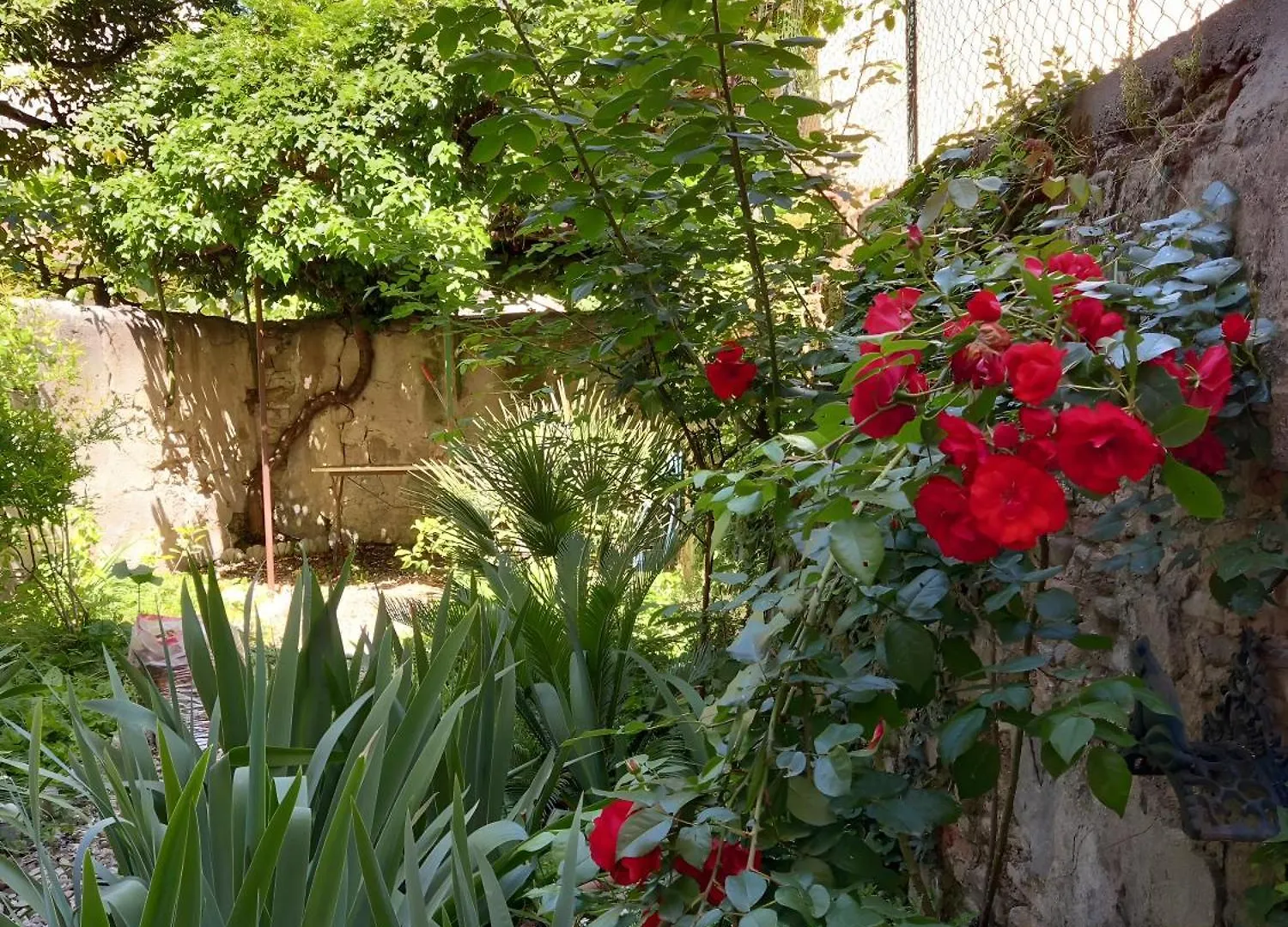 Apartmán Ginella La Casa Vintage Florencie