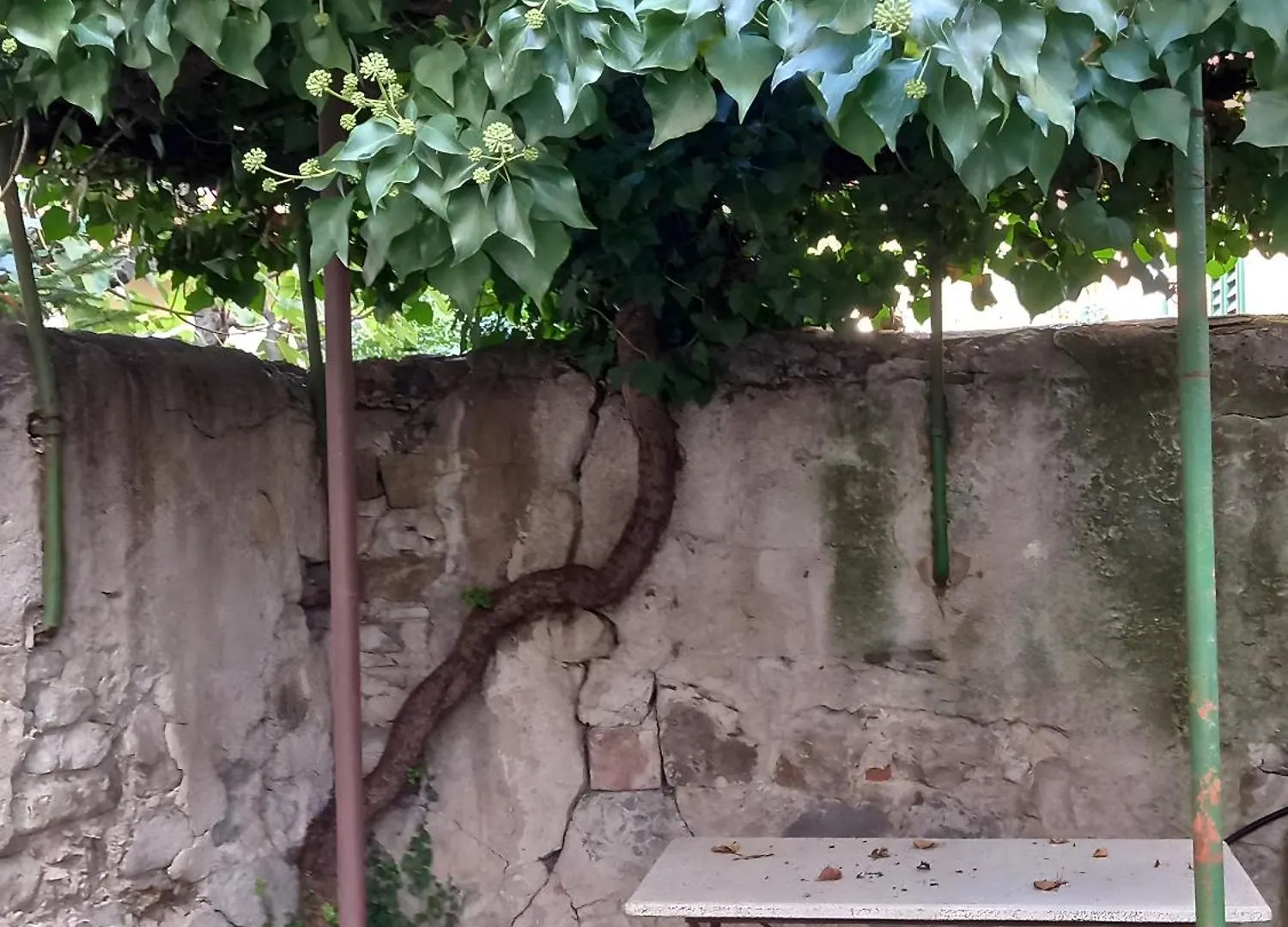 Apartmán Ginella La Casa Vintage Florencie Itálie